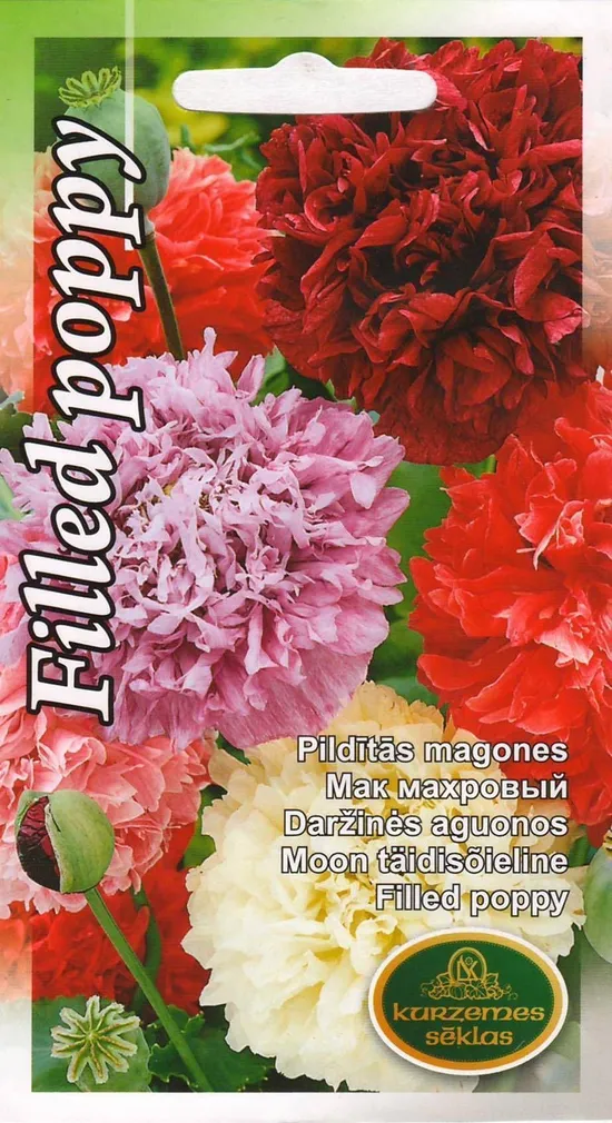 SEEMNED KURZEMES SEKLAS MOON TÄIDISÕIELINE FILLED POPPY 2 G