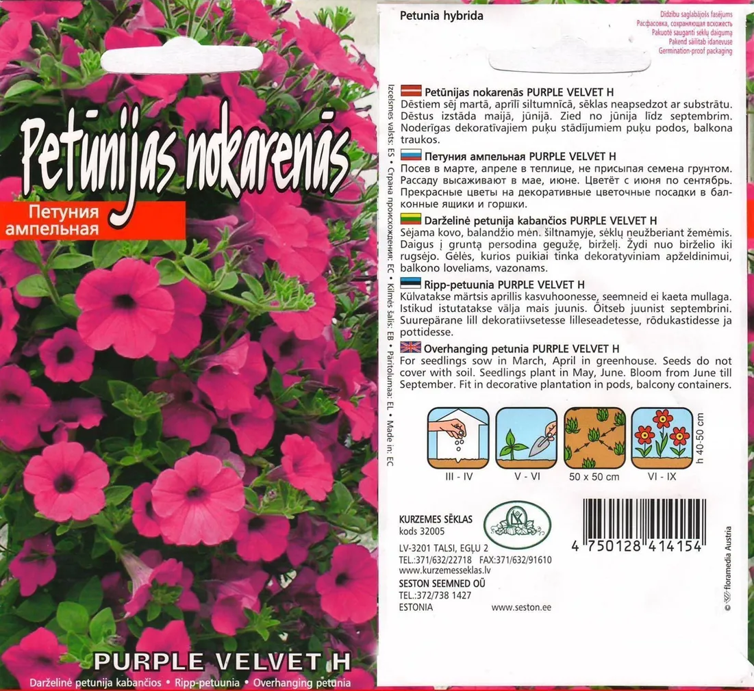 SEEMNED KURZEMES SEKLAS PETUUNIA PURPLE VELVET F1 15 S