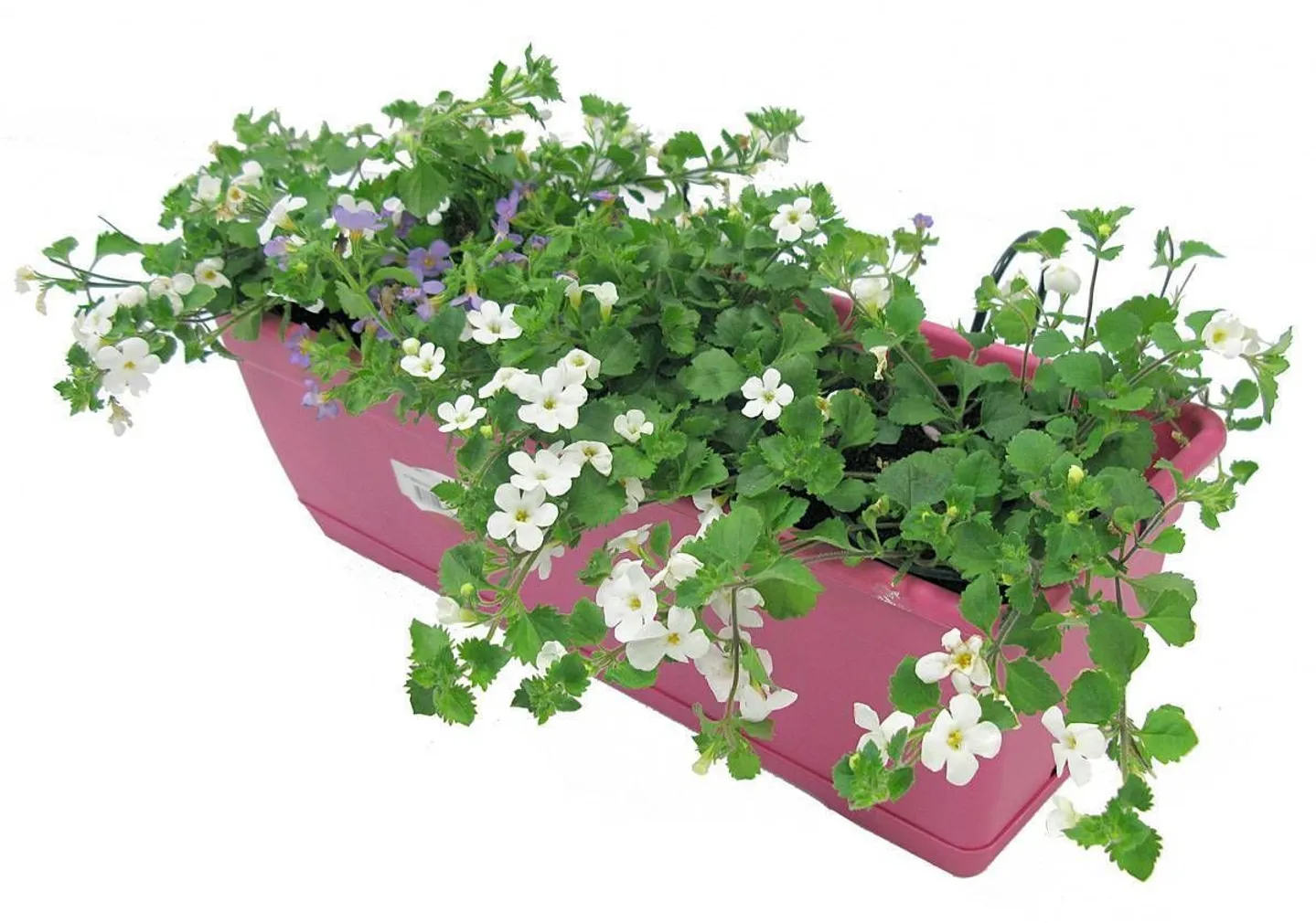 RÕDUKAST + MET.KINNITUS 50CM TERRA KIT BIRKA