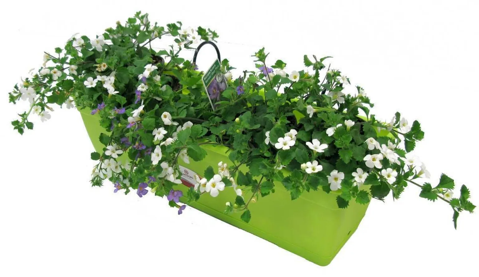 RÕDUKAST + MET.KINNITUS 50CM TERRA KIT BIRKA