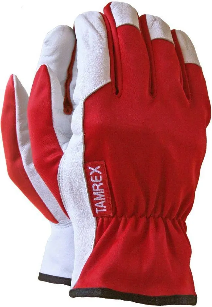 KINDAD KITSENAHAST 10