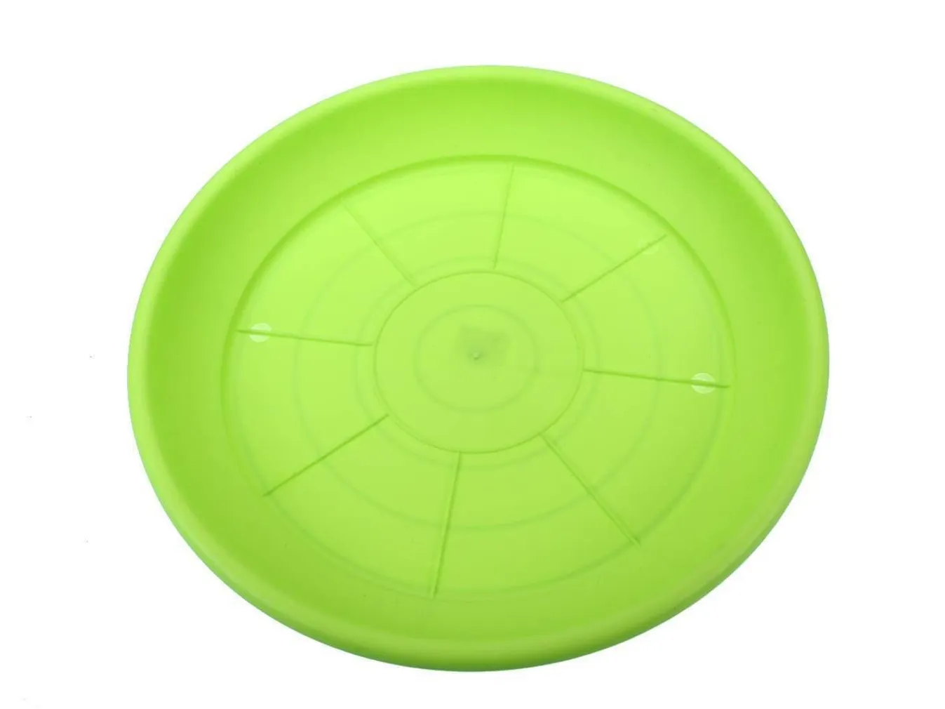 ISTUTUSPOTIALUS 46CM, HELEROHELINE