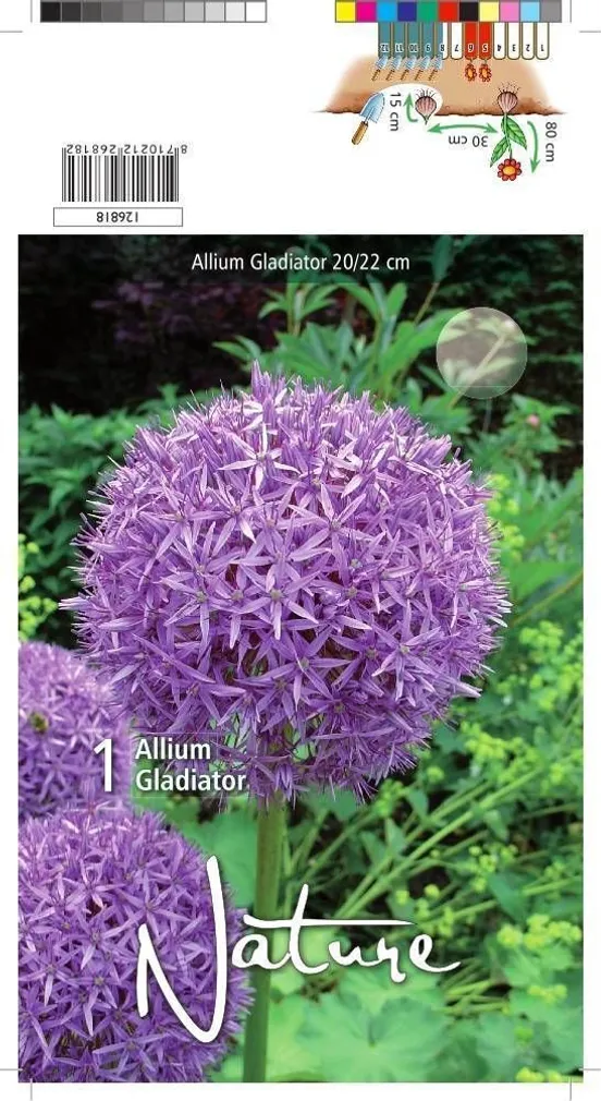 LILLESIBUL LAUK GLADIATOR 1TK PAKIS