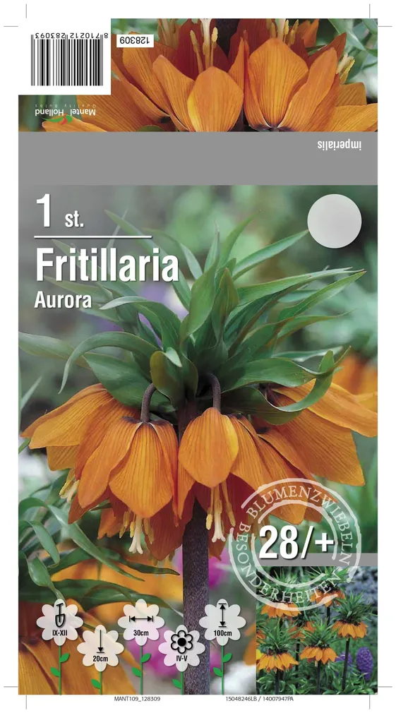 LILLESIBUL PÜVILILL AURORA 1TK PAKIS