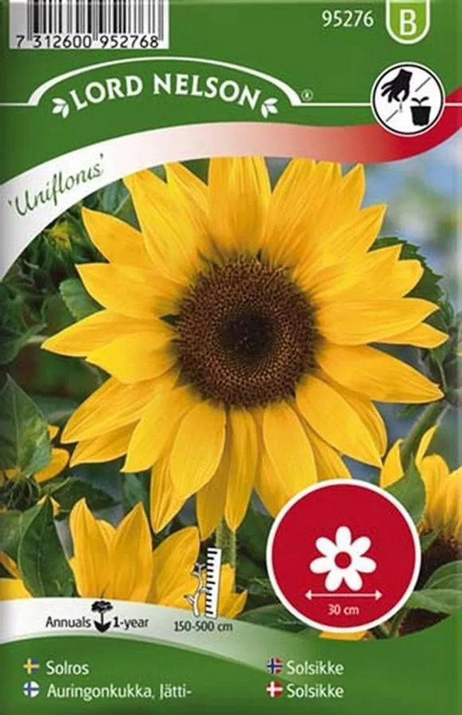 LILLESEEMNED PÄEVALILL "UNIFLORUS" 9G/PK