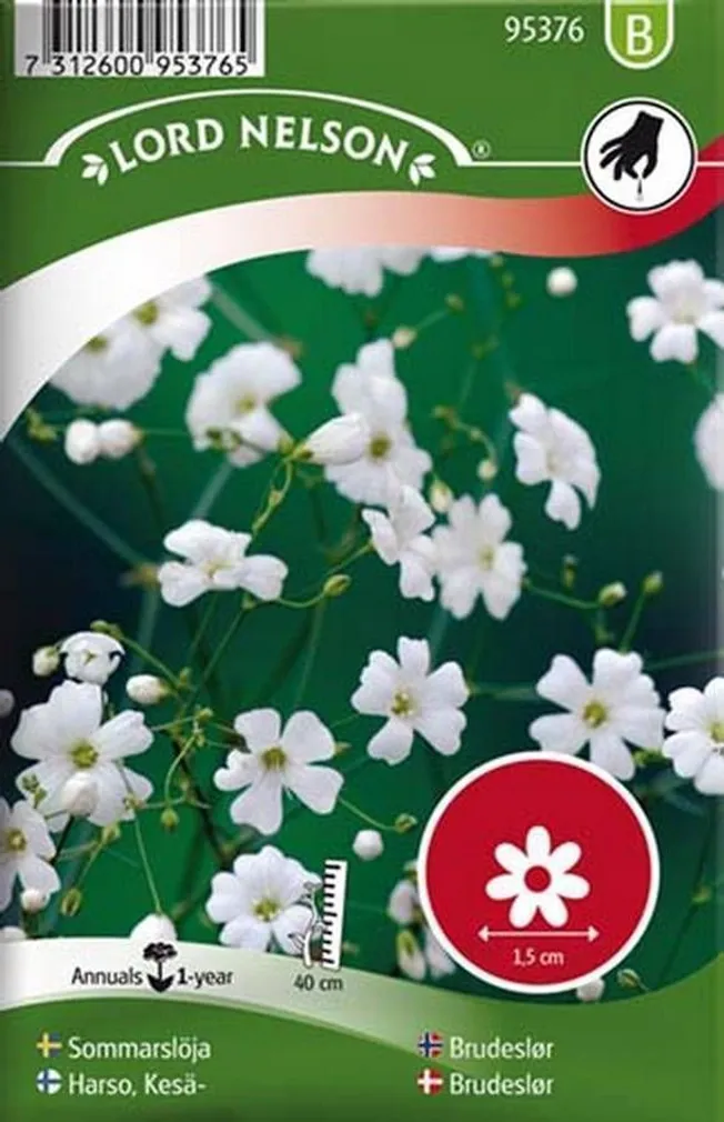 LILLESEEMNED KAUNIS KIPSLILL 6G/PK