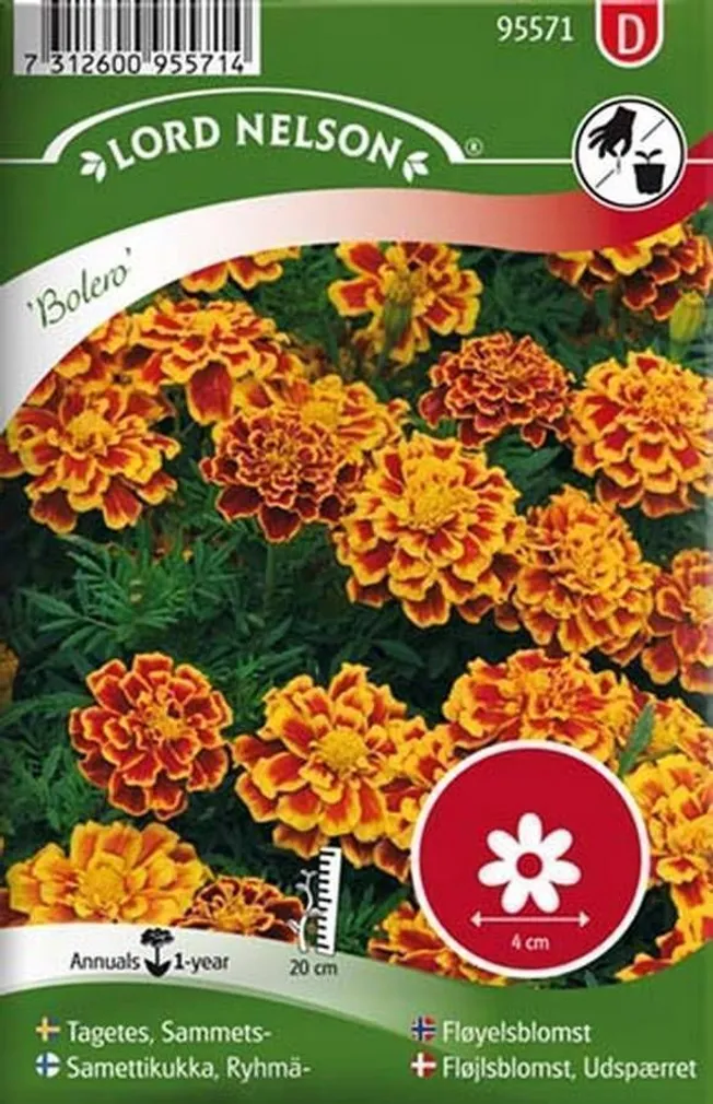 LILLESEEMNED MADAL PEIULILL "BOLERO" 5G/PK