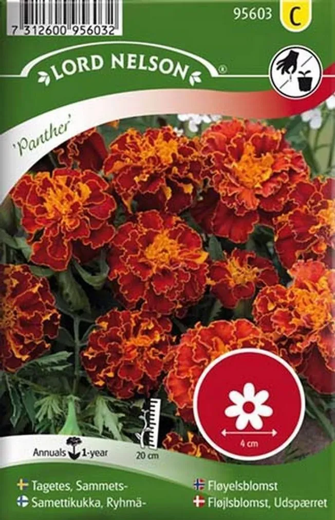LILLESEEMNED MADAL PEIULILL "PANTHER" 5G/PK