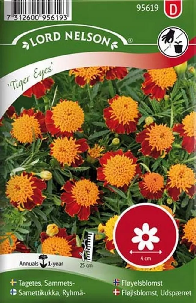 LILLESEEMNED MADAL PEIULILL "TIGER EYES" 5G/PK