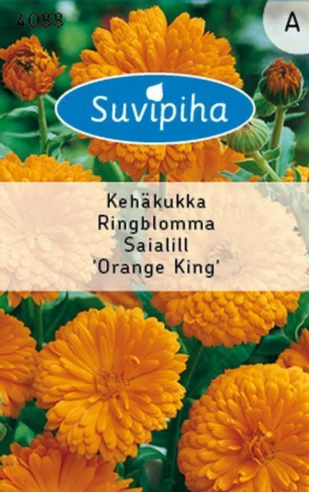 LILLESEEMNED SUVIPIHA SAIALILL ORANGE KING ORANZ/MUST 