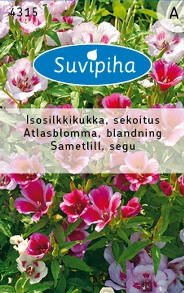 LILLESEEMNED SUVIPIHA SAMETLILL SEGU 