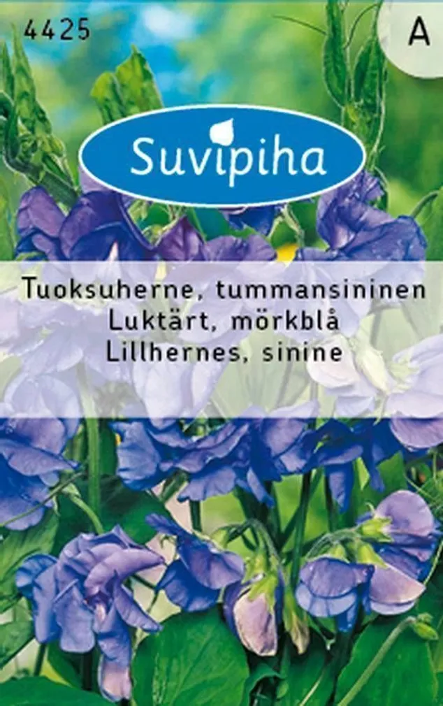 LILLESEEMNED SUVIPIHA LILLHERNES SININE 
