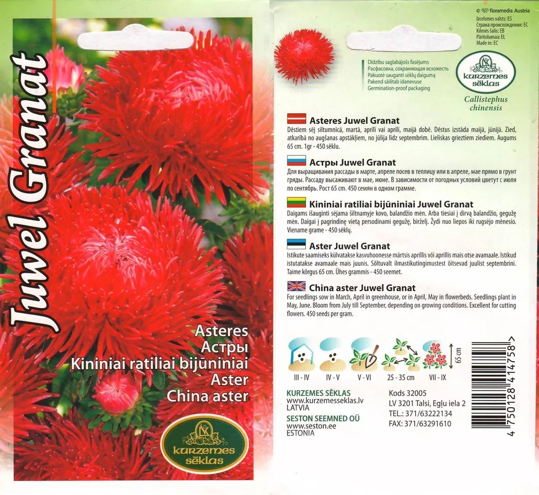 SEEMNED KURZEMES SEKLAS ASTER JUWEL GRANAT 0,4 G