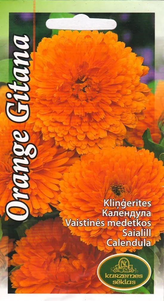 SEEMNED KURZEMES SEKLAS SAIALILL ORANGE GITANA 2 G