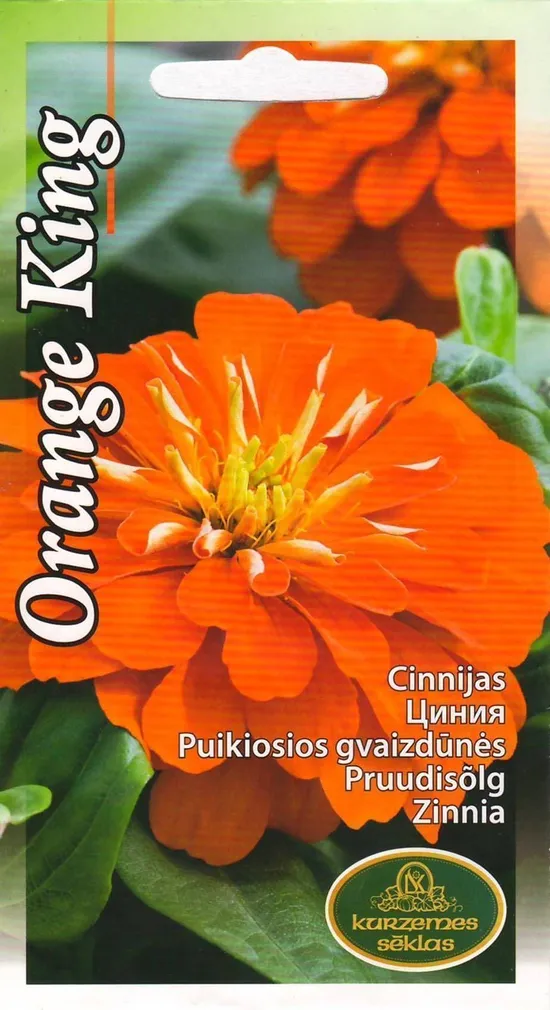 SEEMNED KURZEMES SEKLAS PRUUDISÕLG ORANGE KING 1 G