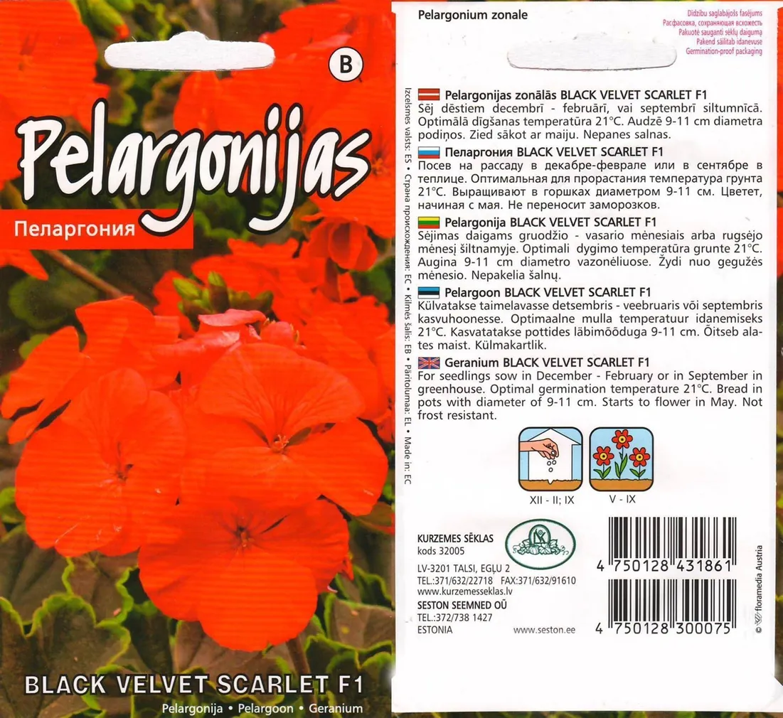 SEEMNED KURZEMES SEKLAS PELARGOON BLACK VELVET SCARLET F1 5 S
