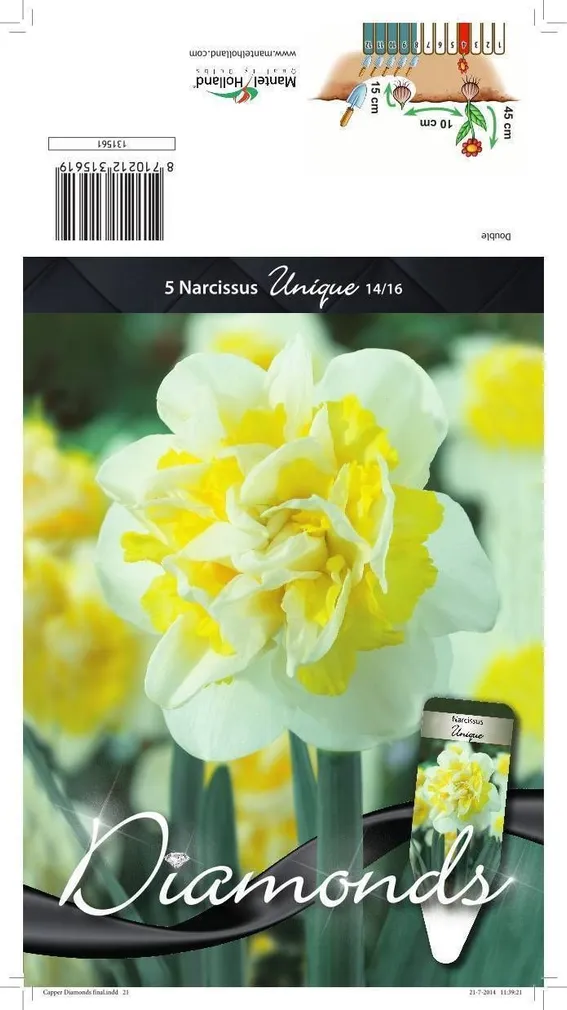 LILLESIBUL NARTSISS DBL. UNIQUE 5TK PAKIS