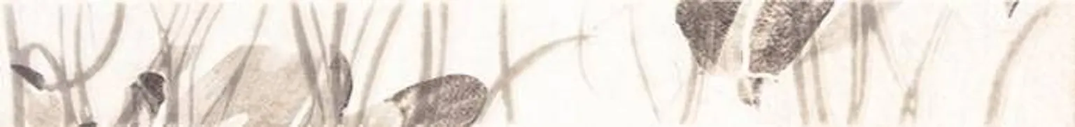 KERAAMILINE DEKOORPLAAT KWADRO 4,8X40CM ANDANTE GRYS