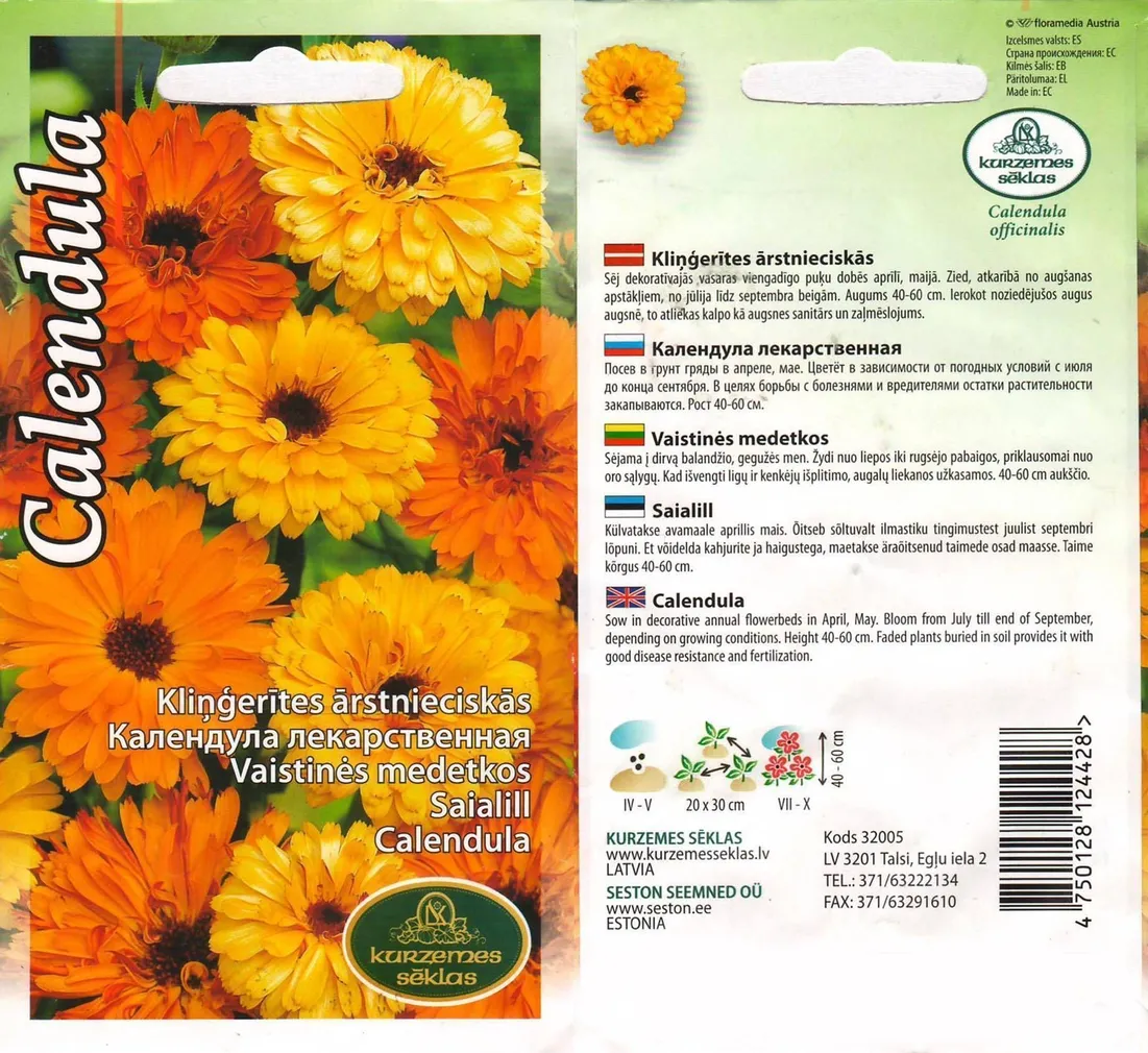 SEEMNED KURZEMES SEKLAS SAIALILL RAVIV 2 G