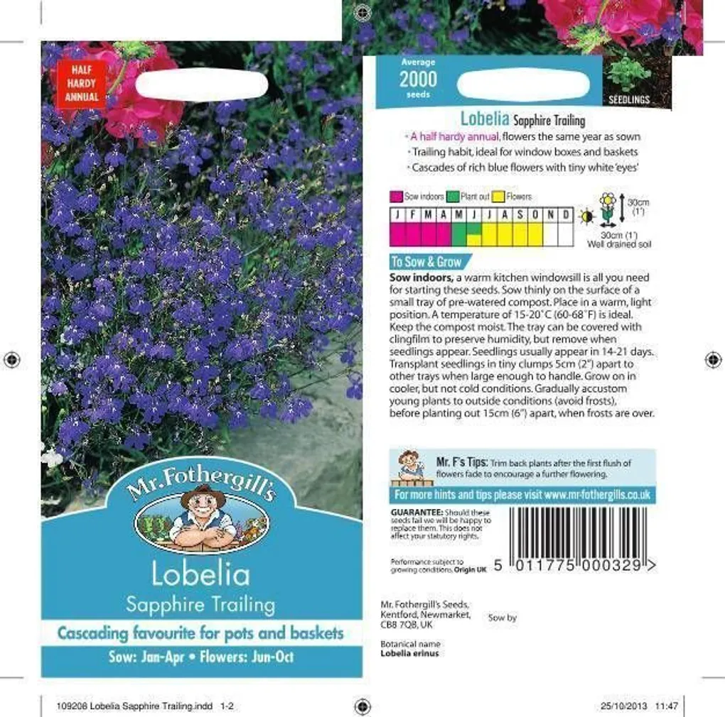 LILLESEEMNED LOBEELIA SAPPHIRE TRAILING