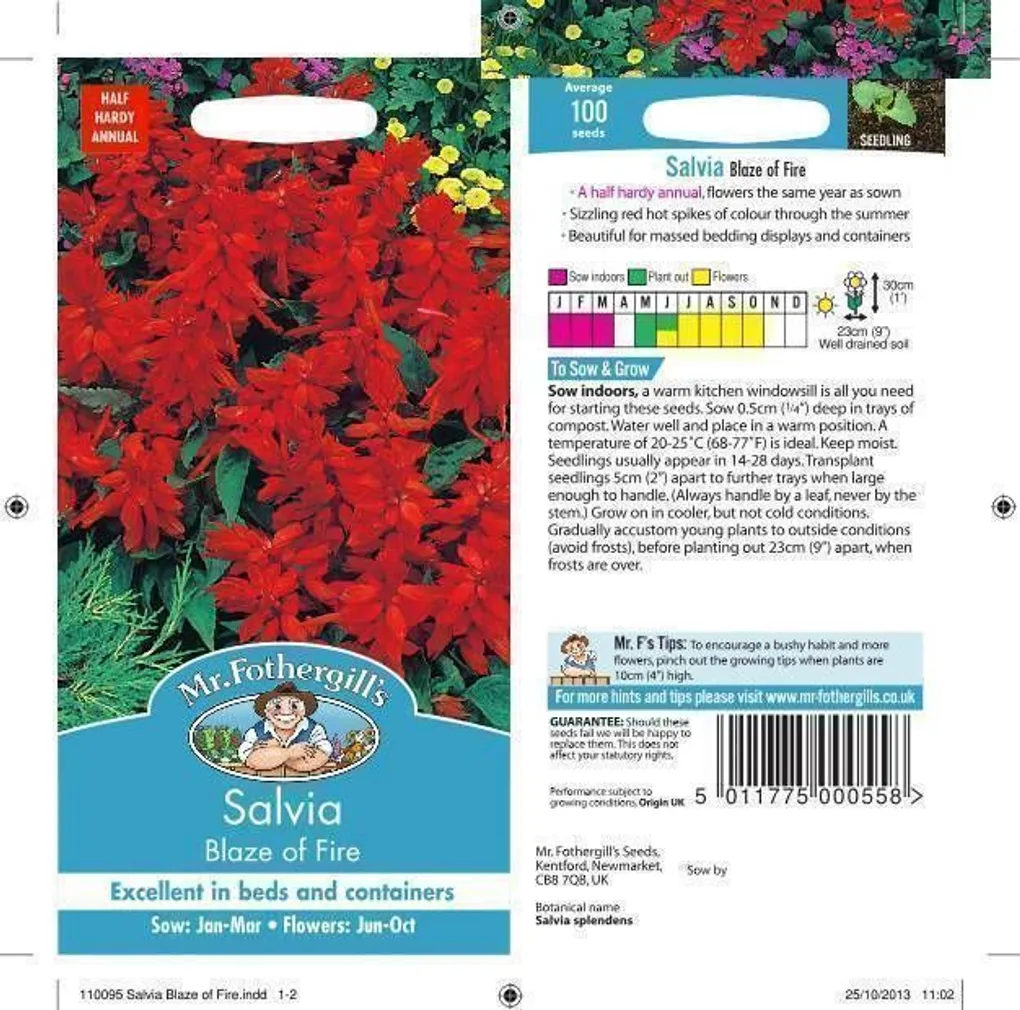 LILLESEEMNED SALVEI BLAZE OF FIRE