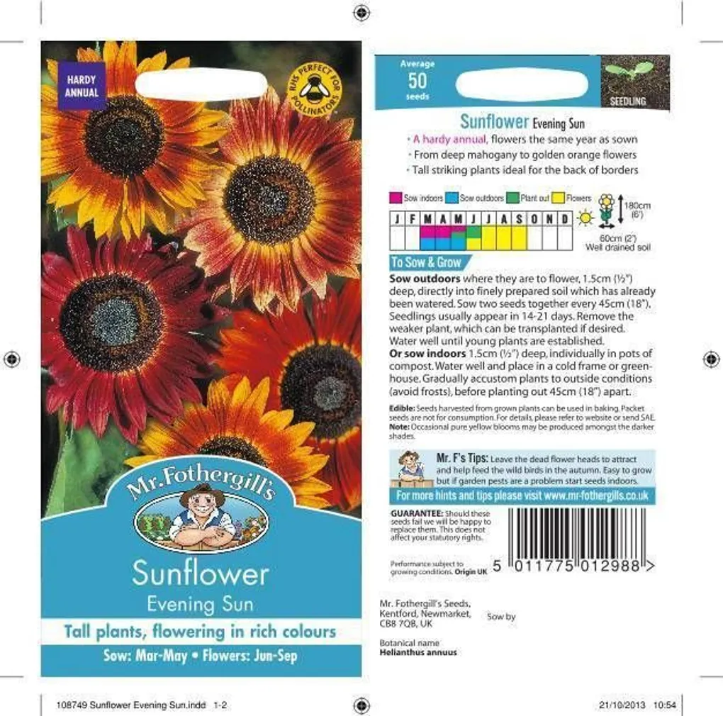 LILLESEEMNED PÄEVALILL EVENING SUN