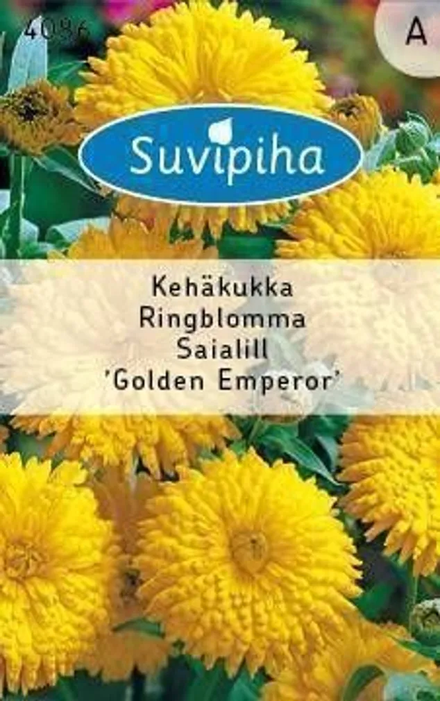 LILLESEEMNED SUVIPIHA SAIALILL GOLDEN EMPERIOR 