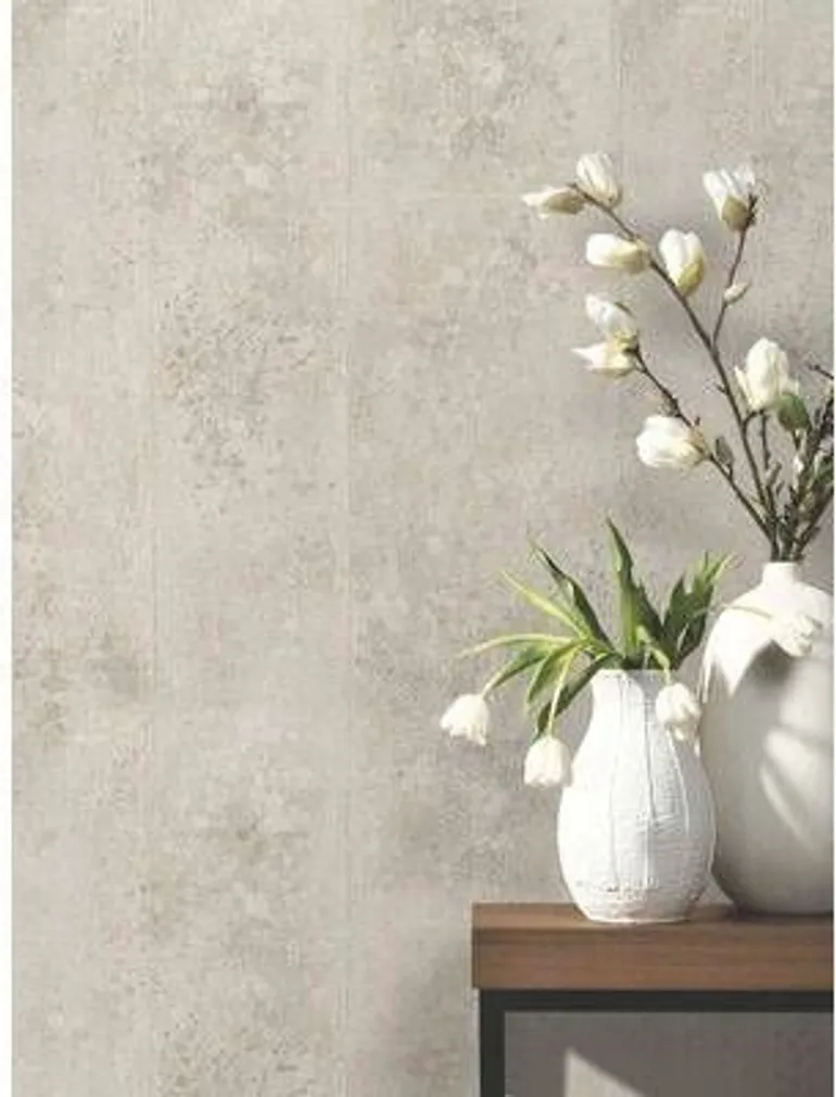 TAPPET P+S ORIGIN 42100-50 0,53X10,05M