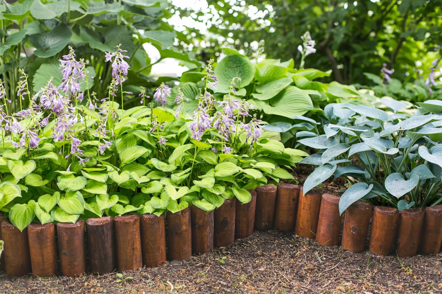 RULLPALISSAAD IMPREST Ø50/150/2000MM PRUUN