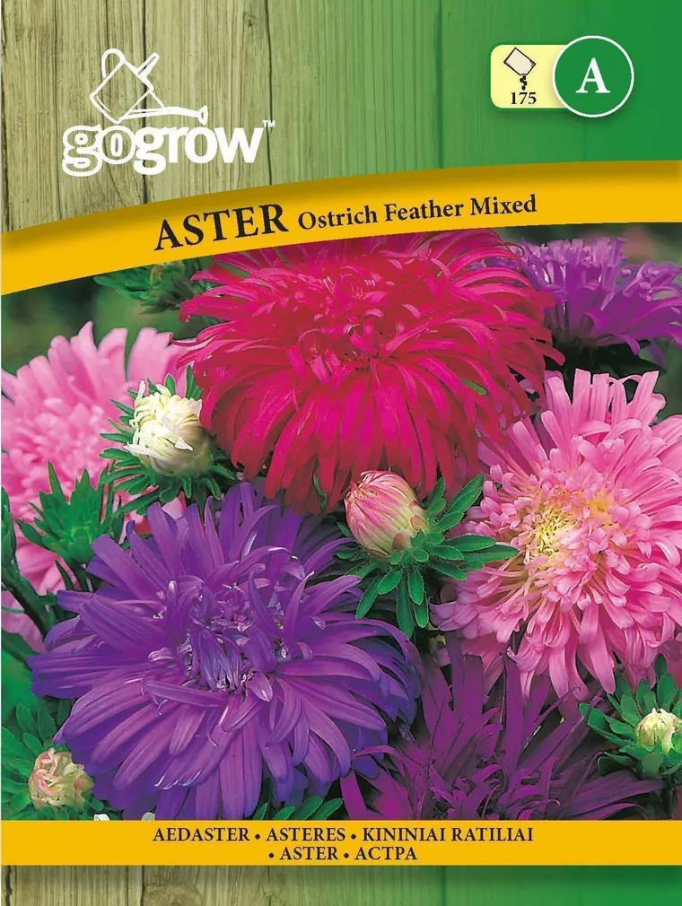 LILLESEEMNED GO GROW AEDASTER OSTRICH FEATHER SEGU