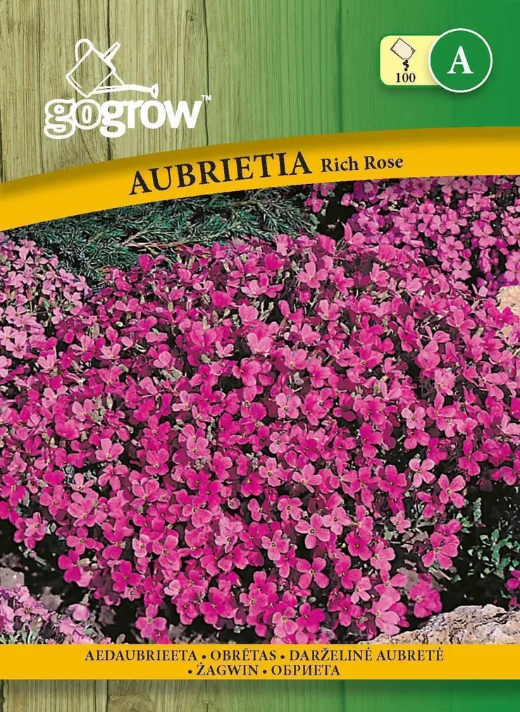 LILLESEEMNED GO GROW AEDAUBRIEETA RICH ROSE