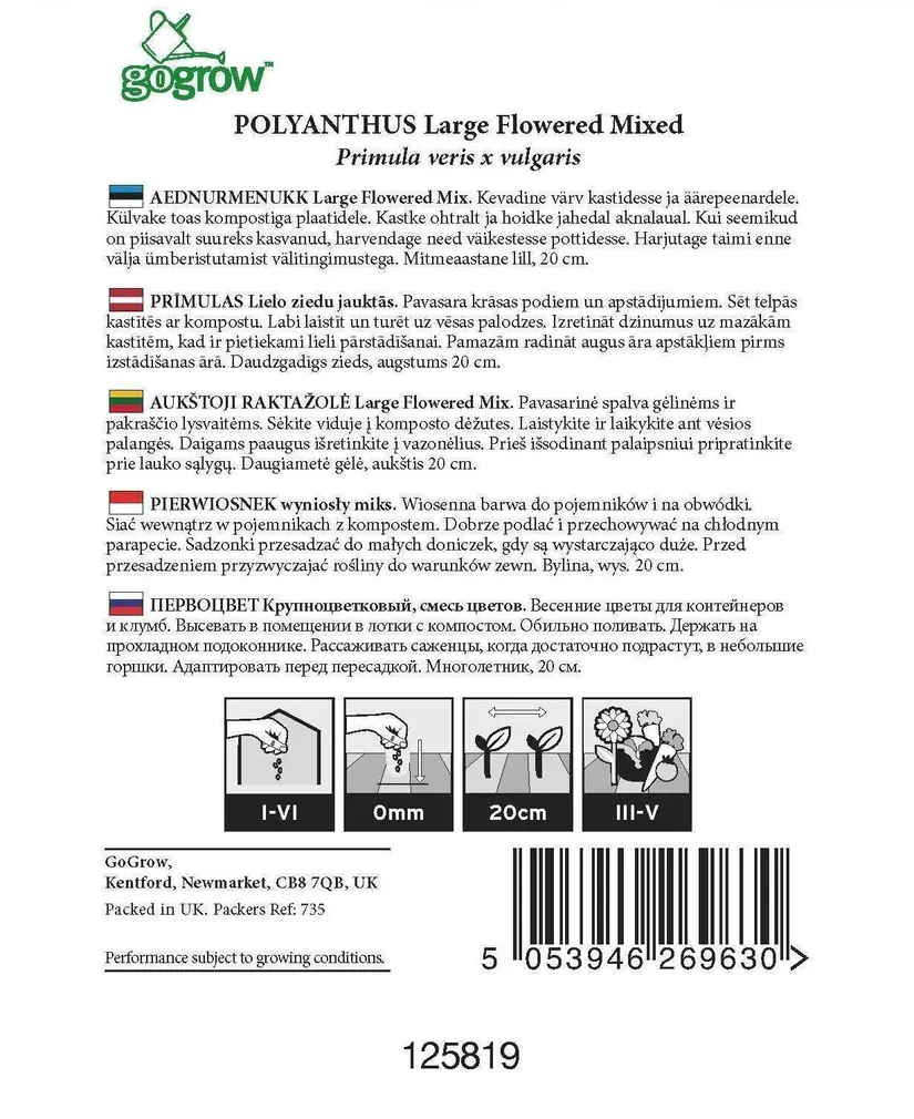 LILLESEEMNED GO GROW AEDNURMENUKK LARGE FLOWERED SEGU