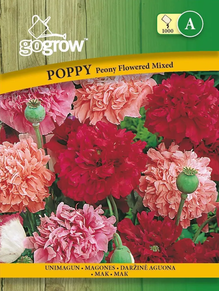 LILLESEEMNED GO GROW UNIMAGUN PEONY FLOWERED SEGU