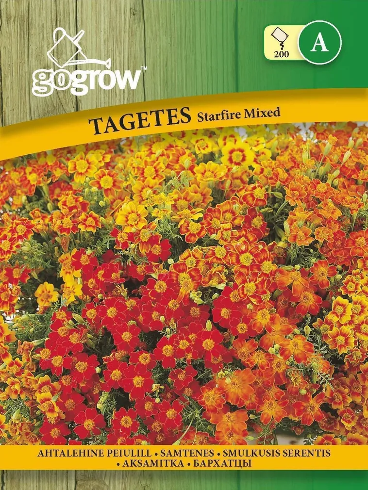 LILLESEEMNED GO GROW AHTALEHINE PEIULILL STARFIRE SEGU