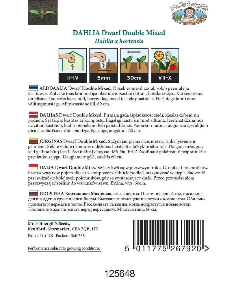 LILLESEEMNED MR FOTHERGILL’S AEDDAALIA DWARF DOUBLE SEGU