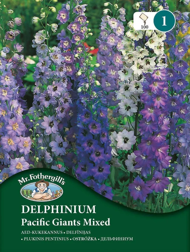 LILLESEEMNED MR FOTHERGILL’S AED-KUKEKANNUS PACIFIC GIANTS SEGU