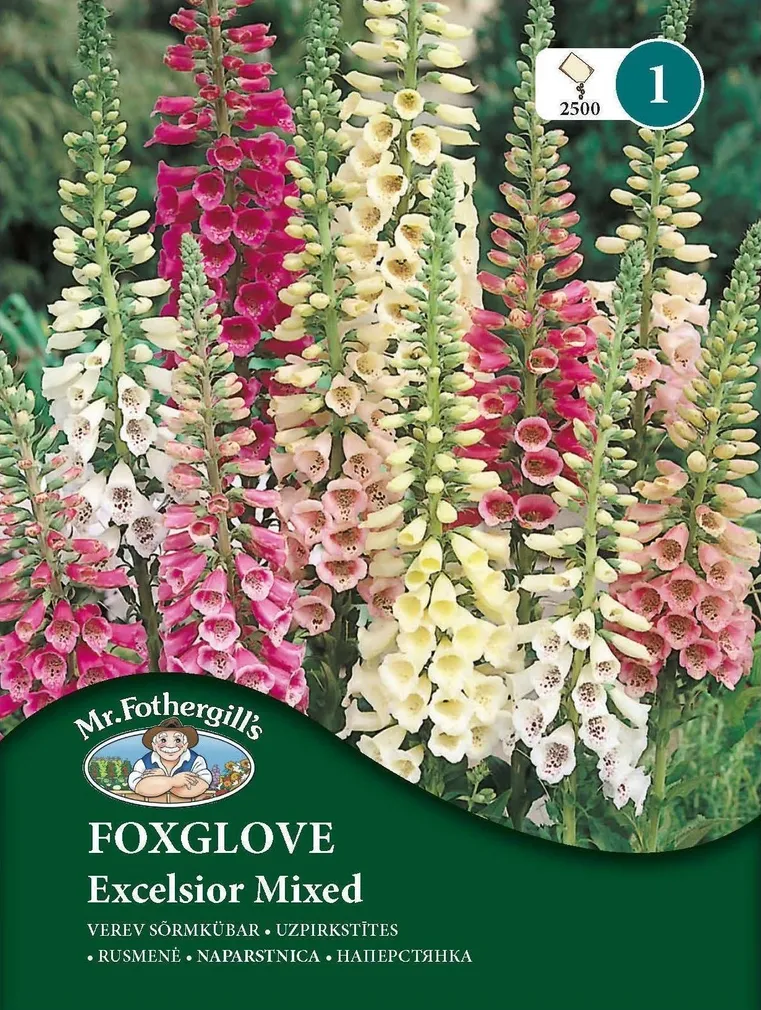 LILLESEEMNED MR FOTHERGILL’S VEREV SÕRMKÜBAR EXCELSIOR SEGU