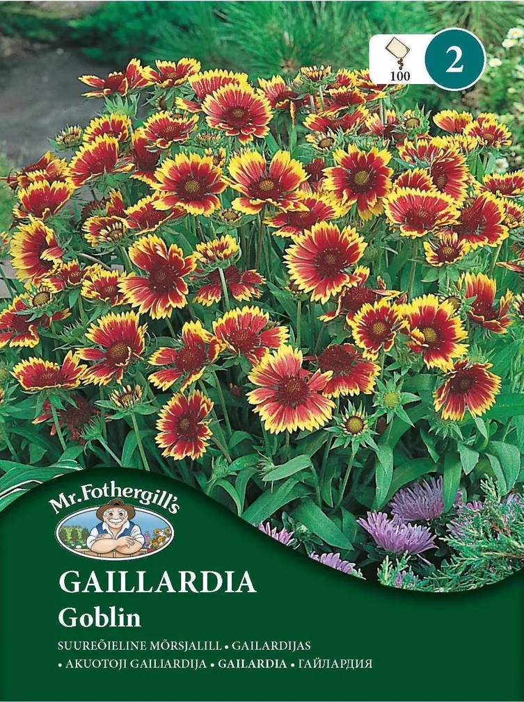 LILLESEEMNED MR FOTHERGILL’S SUUREÕIELINE MÕRSJALILL GOBLIN