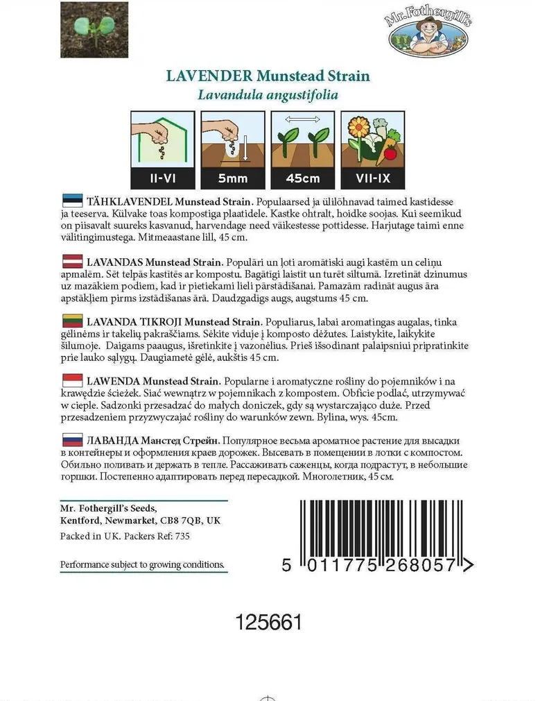LILLESEEMNED MR FOTHERGILL’S TÄHKLAVENDEL MUNSTEAD STRAIN