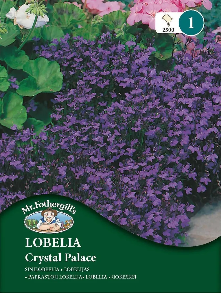 LILLESEEMNED MR FOTHERGILL’S SINILOBEELIA CRYSTAL PALACE