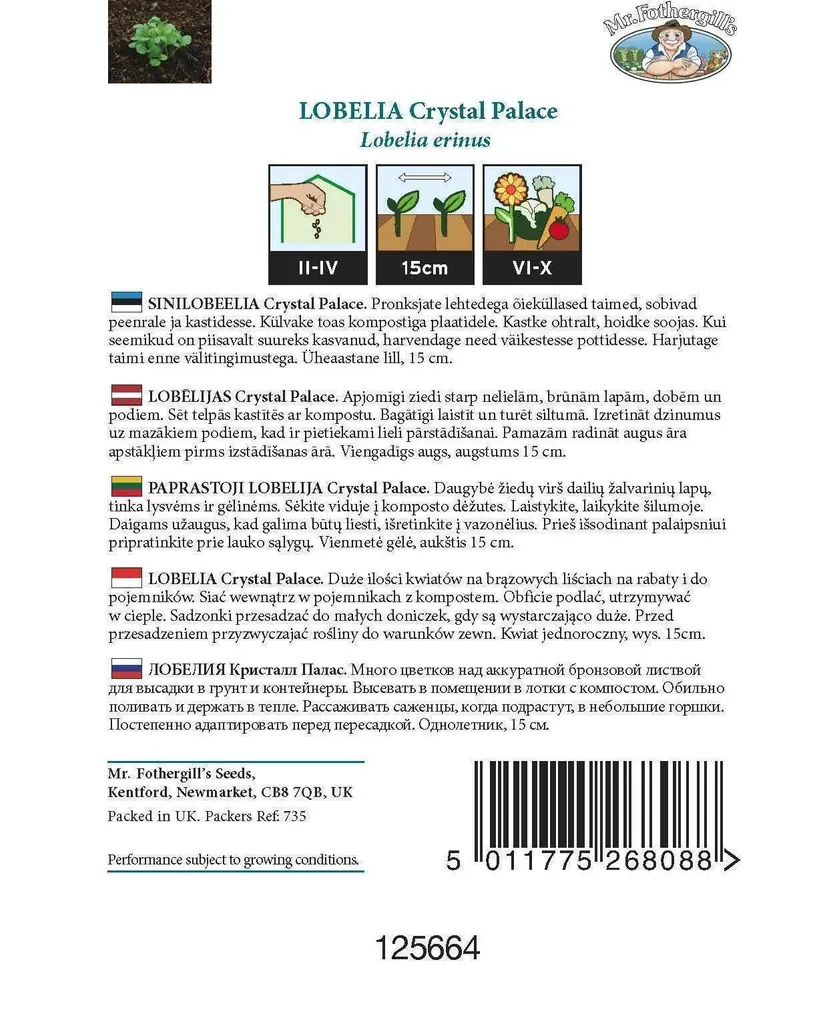 LILLESEEMNED MR FOTHERGILL’S SINILOBEELIA CRYSTAL PALACE