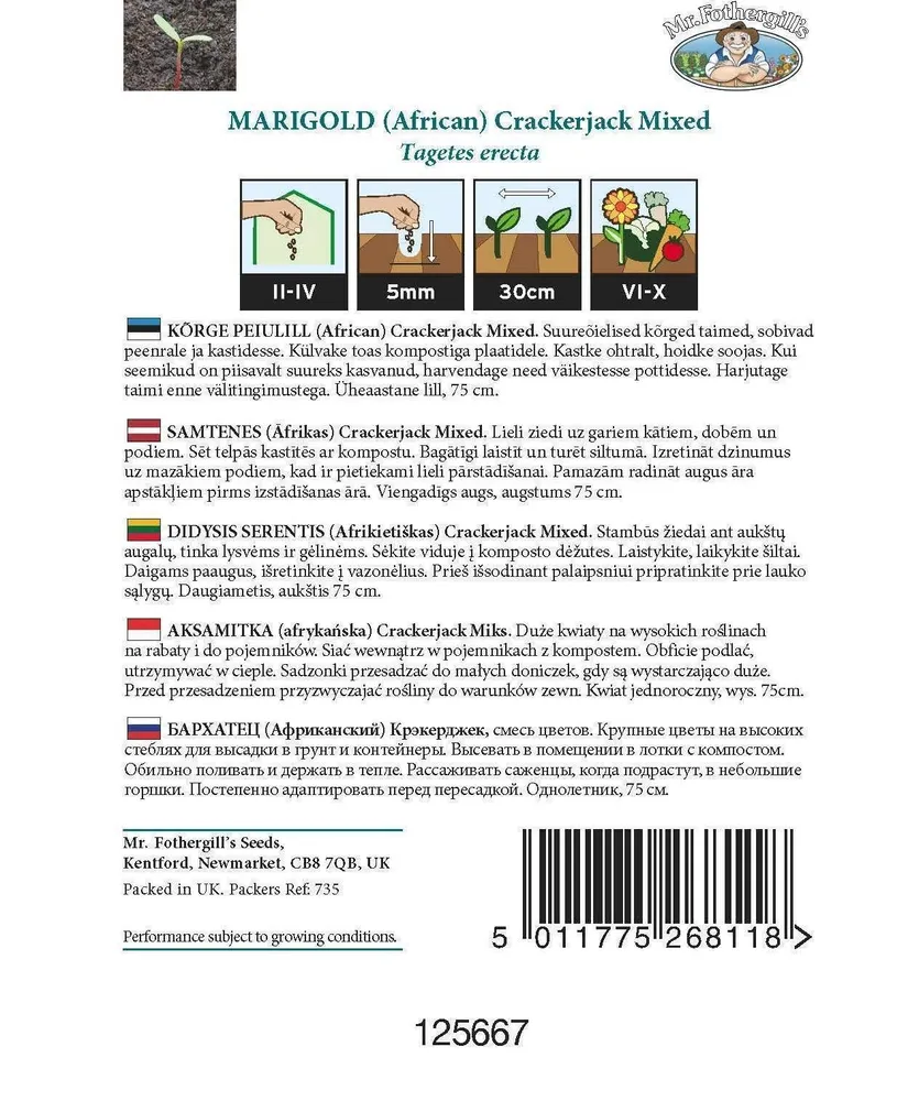 LILLESEEMNED MR FOTHERGILL’S KÕRGE PEIULILL (AFRICAN) CRACKERJACK SEGU