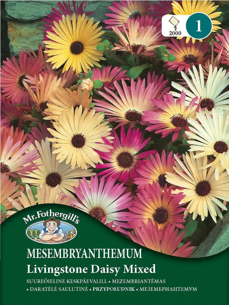 LILLESEEMNED MR FOTHERGILL’S SUUREÕIELINE KESKPÄEVALILL LIVINGS DAISY SEGU