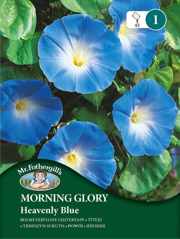 LILLESEEMNED MR FOTHERGILL’S KOLMEVÄRVILINE LEHTERTAPP HEAVENLY BLUE