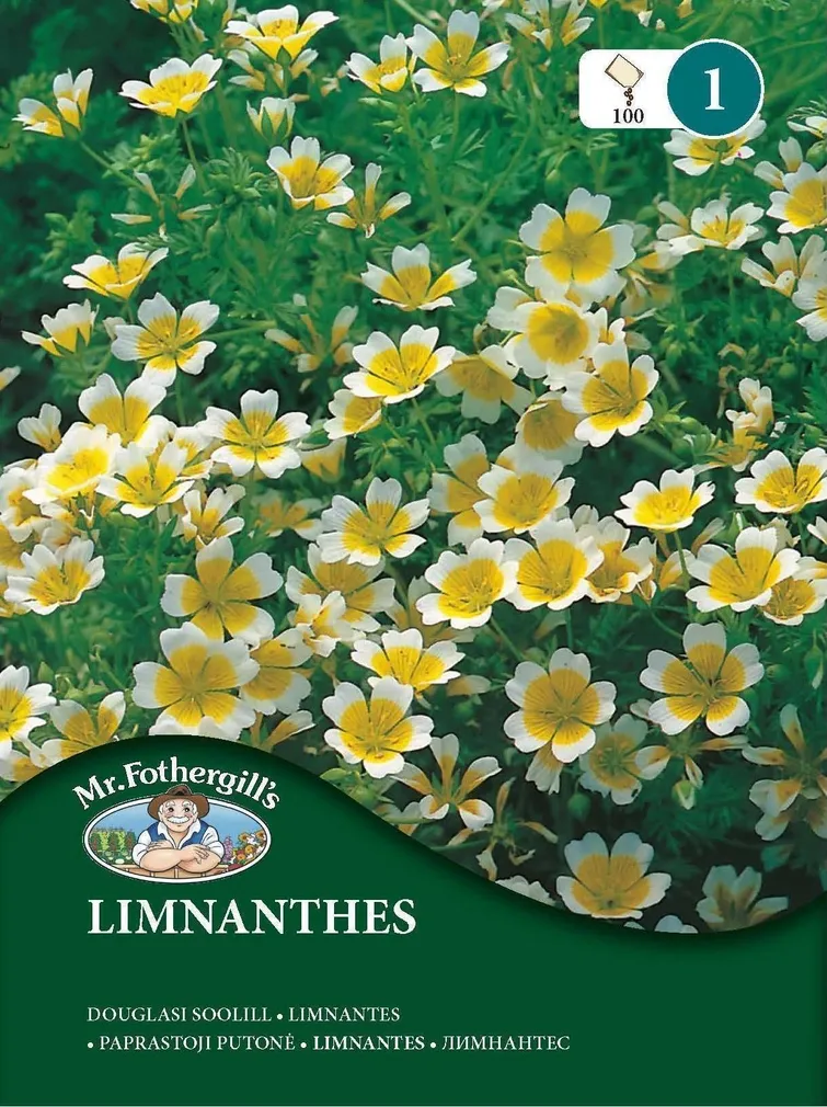 LILLESEEMNED MR FOTHERGILL’S DOUGLASI SOOLILL