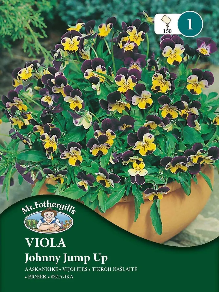 LILLESEEMNED MR FOTHERGILL’S AASKANNIKE JOHNNY JUMP UP