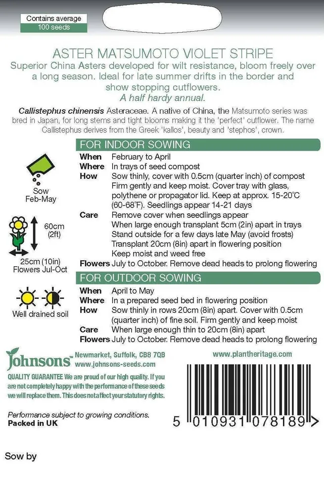 LILLESEEMNED JOHNSON’S ASTER MATSUMOTO VIOLET STRIPE
