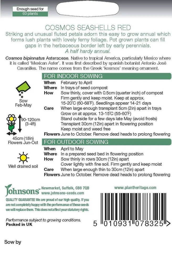 LILLESEEMNED JOHNSON’S KOSMOS SEASHELLS RED