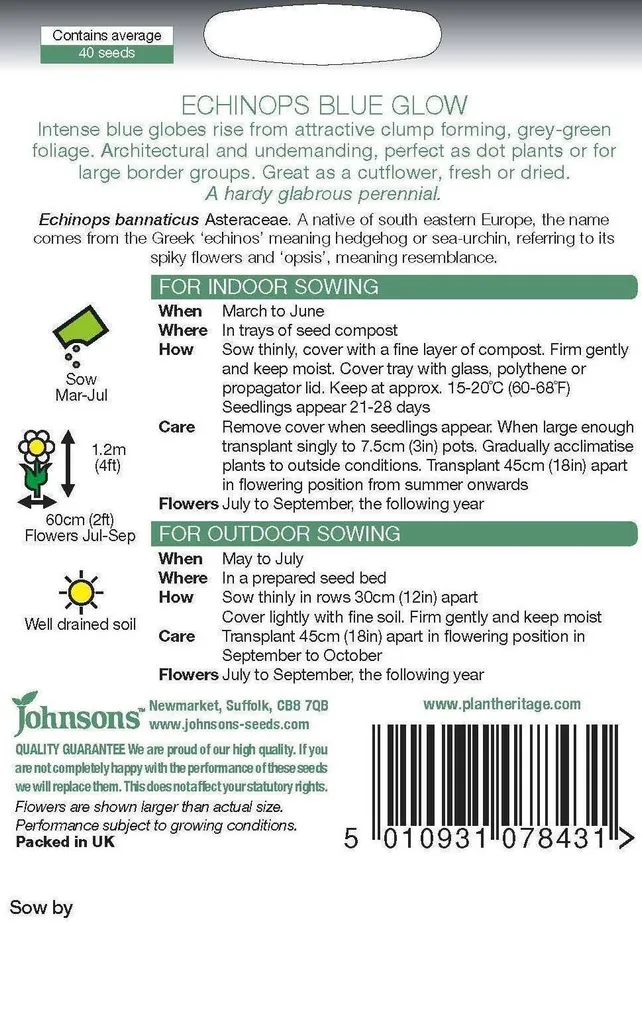 LILLESEEMNED JOHNSON’S MESIOHAKAS BLUE GLOW