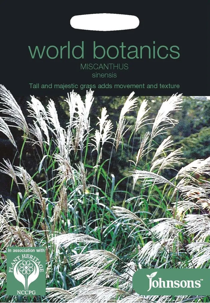 LILLESEEMNED JOHNSON’S HIINA SIIDPÖÖRIS